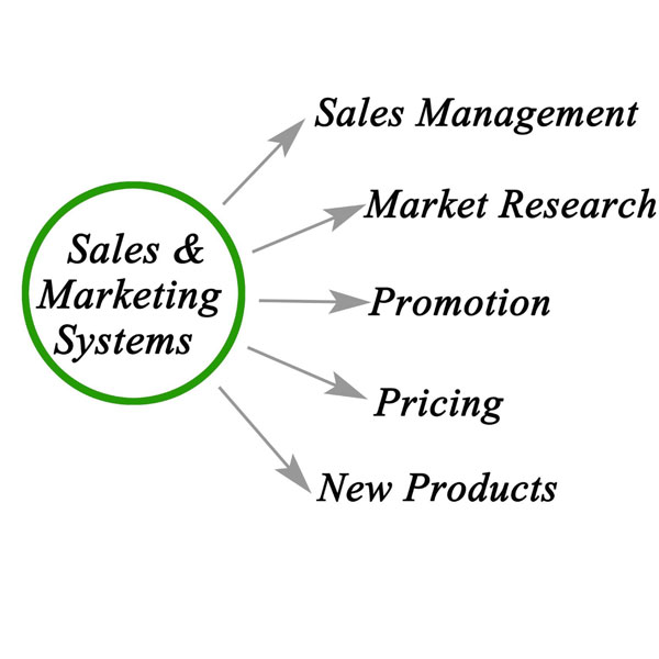 Sales and Marketing Systems graph pointing to examples - Sales Management, Market Research, Promotion, Pricing, New products